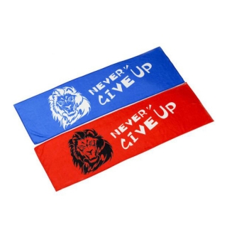 Microfiber Towel