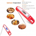 Foldable Backlit Food Thermometer