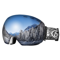 Ski Goggles