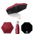 Automatic Folding Umbrella