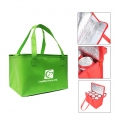 Picnic Non Woven Cooler Insulated Bag with Zipper