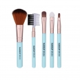 5 pcs Cheap Cosmetic Make Up Brush Set Kit