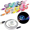 3Ft 1 Meter Retractable LED Data Cable