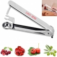 CPTS0241 Stainless Steel Fruit Corer Seed Remover-1