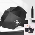 Cheap Auto Open & Foldable Umbrella - 42