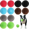 2.5 inch  Advanced Training Tennis Balls Pet Dog Playing Toys